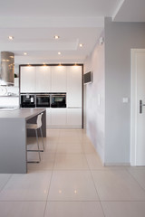 Kitchen unit in designed interior