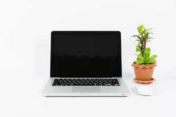 Fototapeta premium Laptop and flower pot isolate