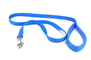 Blue Dog Leash