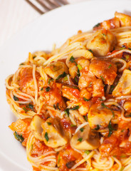 chicken and mushrooms in tomato sauce with spaghetti