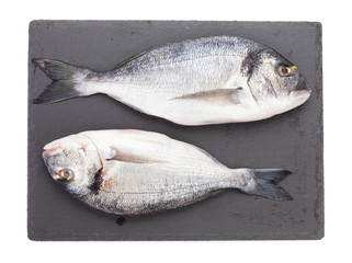 Fresh dorado fish