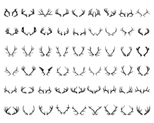 Black silhouettes of different deer horns, vector - obrazy, fototapety, plakaty