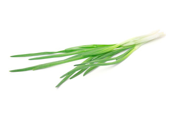 Green Onion