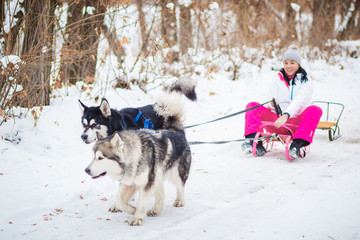 dog sledding, woman