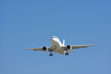 Fototapeta na wymiar Airplane Landing on blue sky