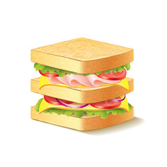 Sandwich isolated on white vector