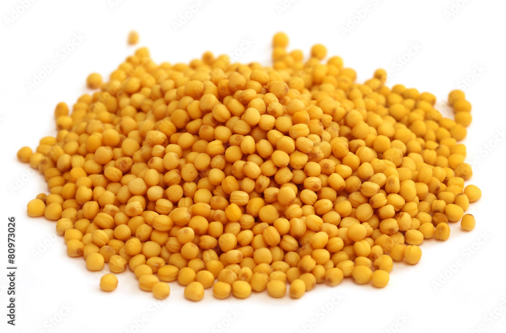 Poster fresh golden mustard