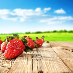 fruits
