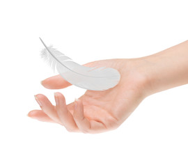 feather in female palm on white background