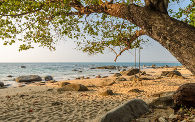 Rock beach with wooden swing in Thailand