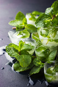 Mint ice cubes with fresh mint leaves