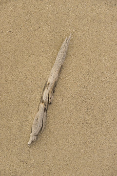 Schr&auml;gstrich aus Treibholz auf Sand