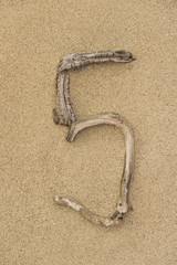 Fototapeta na wymiar Zahl 5 aus Treibholz auf Sand