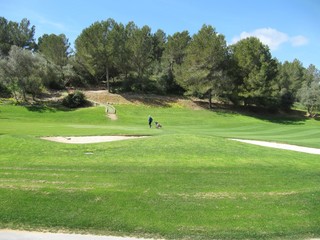 Obraz premium El el campo de golf, golf course.