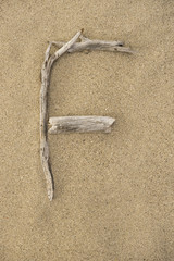 Alphabet Buchstabe F aus Treibholz auf Sand