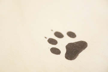 Animal footprints on a wooden surface