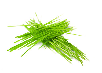 green grass in bundles isolated on white