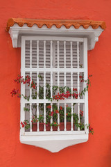 Detalle en las hermosas fachadas de las casas coloniales de la ciudad amurallada de Cartagena de Indias en Colombia. Ventana blanca en casa color naranja