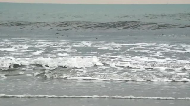 浜辺に打ち寄せる波