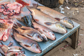 slice of Fresh fish for shop in a market