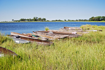 Okavango delta: Mokoro-canoes on a riverbank, Botswana Africa