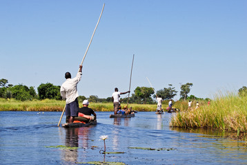Okavango Delta: Mokoro-canoe trip on the river, Botswana Africa