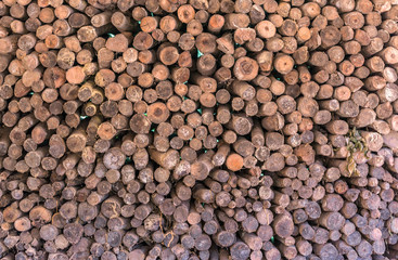 Firewood stacked up in a pile
