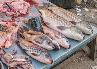 slice of Fresh fish for shop in a market