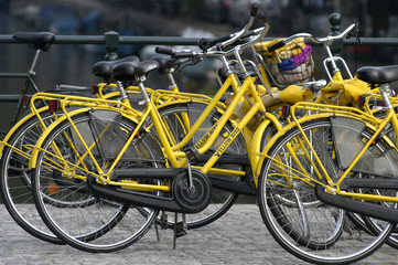 Fototapeta na wymiar gelbe Fahrräder