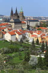 Obraz premium View on the spring Prague gothic Castle, Czech Republic