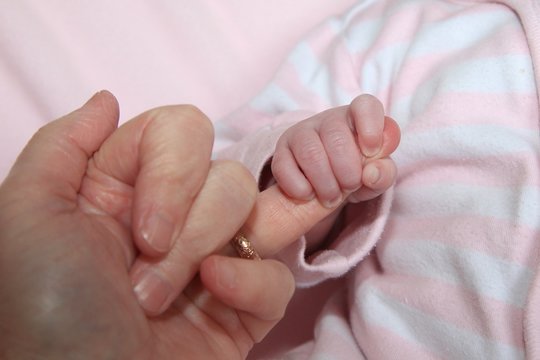 Small baby holding an adult's finger