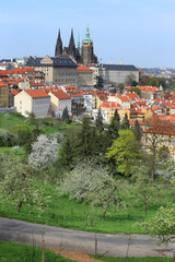 Obraz premium View on the spring Prague gothic Castle, Czech Republic