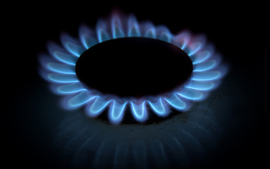 blue gas stove