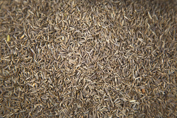 Cumin on the market