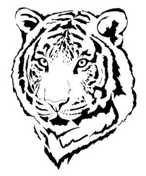 tiger head in black interpretation 5