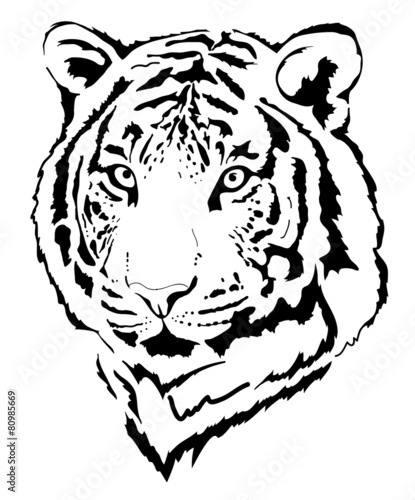 "tiger head in black interpretation 5" stock image and