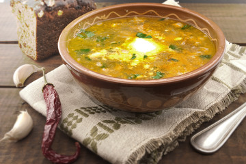 National ukrainian and russian soup borsch with sour cream in ce