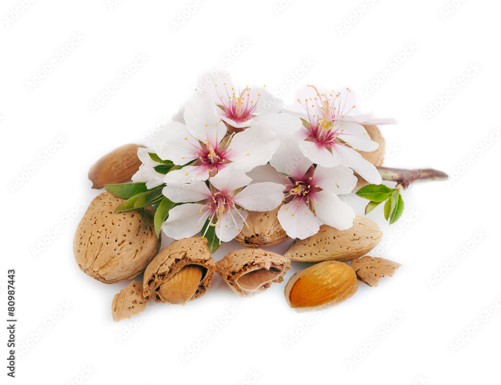 Sticker almonds with a sprig on white.