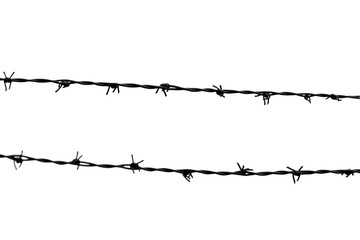 barbed wire isolated