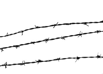 Barbed Wire on a white background