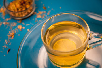 Cup of Herbal Tea on blue Background