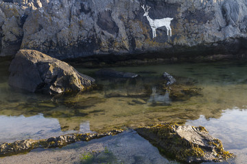 White Stag painted on rocks, Bamburgh, Northumberland. Engalnd.