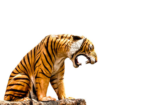 Tiger image isolated on white background