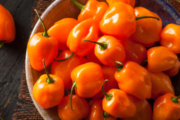 Raw Organic Orange Habanero Peppers