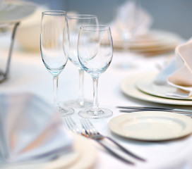 Table set for dinner or reception