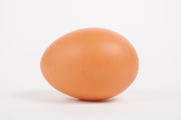 Single chicken egg  on white  paper background
