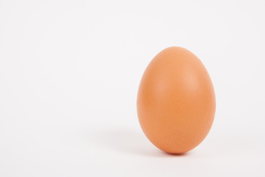 Single chicken egg  on white  paper background