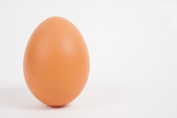 Single chicken egg  on white  paper background