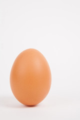 Single chicken egg  on white  paper background