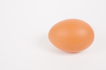 Single chicken egg  on white  paper background